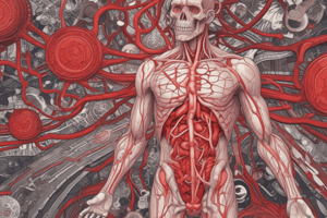 Physiology Quiz: Blood Composition and Thermoregulation