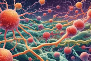 Peptidoglycan Precursor Modification in Bacteria