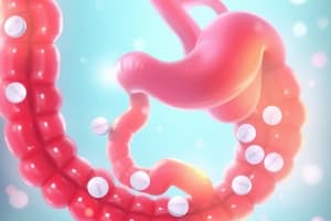 Gastrointestinal Motility and Laxatives