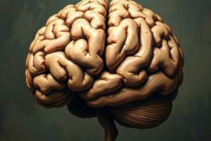 Dispute Resolution and Human Brain Insights