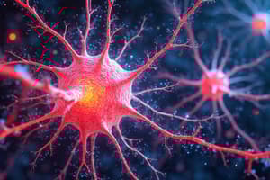 Action Potentials & Neuron Types