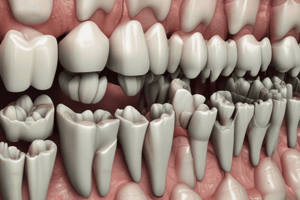 Matrices en Odontología