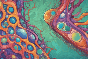 Cell Membrane and Passive Transport