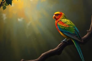 Extinct Birds: Moa and Carolina Parakeet