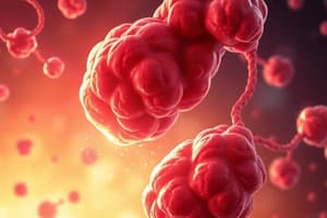 Biochimica: Proteine che legano l'ossigeno