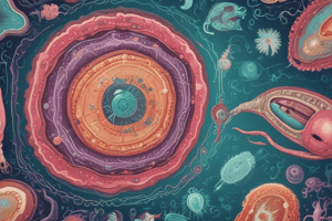 Parasitology Quiz: Protozoa and Helminth Diseases