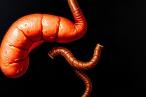 Human Biology: The Pancreas and Diabetes