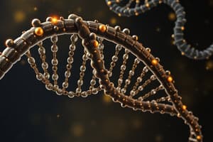 DNA and RNA Nucleotide Structure