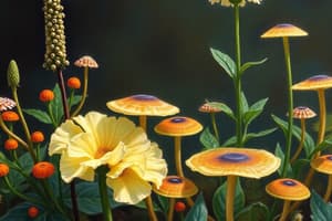 Plant Diversity, Seed Evolution, and Fungi