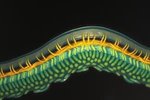 Biology Module 1: Plasma Membrane Overview