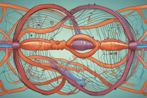 Genetics of Sex Determination in Mammals