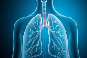 Breathing Process Overview