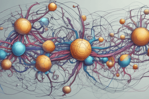 Neurotransmitter Release Types