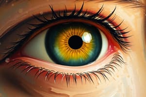 Assessment and Evaluation of Vision