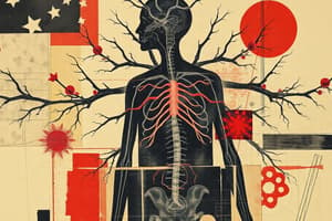 Adrenergic Agonists Overview