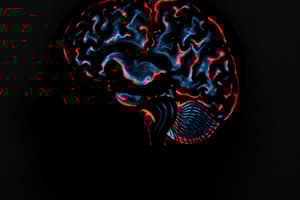 Biological Approach: Brain Study and MRI