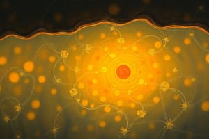 Membrane Transport Overview