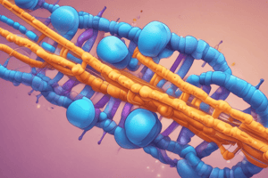 Chromatin Structure and Chromosome Organization