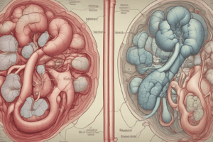 Lecture 7: The Kidney