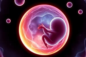 Embryonic Development & Fertilization