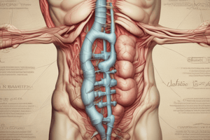 Abdominal Wall Masses and Hernias Quiz