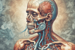 Respiratory System Diseases