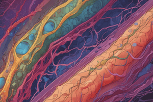 Cell Junctions in Epithelial Tissue