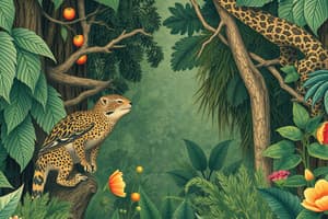 Vocabulary Flashcards: Jungle Terms