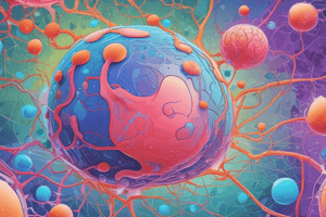 Stem Cells Types and Functions