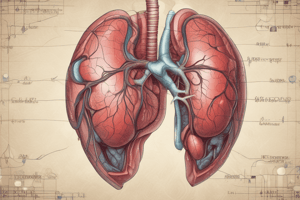 Bioquímica: Función Hepática y Anatomía del Hígado