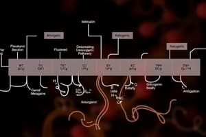 Lippincott's Biochemistry Chapter 20 - Amino Acids (Degradation and Synthesis)