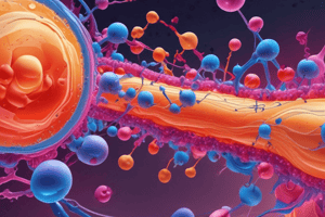 Insulin Secretion Mechanism Quiz