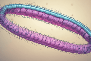 Chromosome Structure and Organization