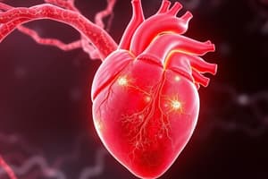 Cardiac Muscle Structure and Function