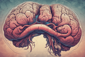 Introduction to Neuroscience: Forebrain and Cerebral Hemispheres