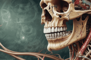 Dental Anatomy: Tooth-Socket Structure and Components