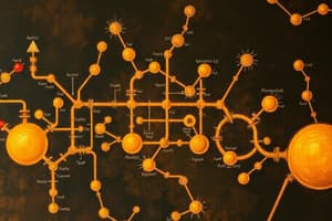 Carbohydrate Metabolism