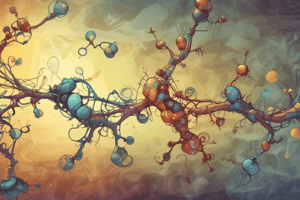 RNA Synthesis and Evolution