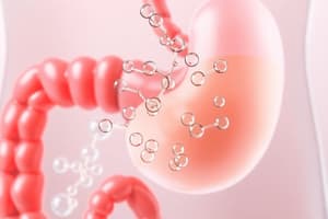Pancreatic Exocrine Secretion