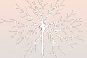 Nervous System Organization Quiz