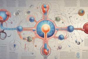 Clinical Significance of Phosphate Homeostasis