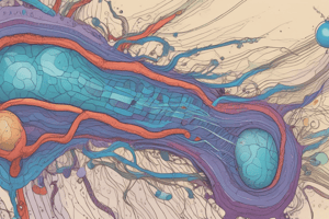 Cell Signaling and Intercellular Communication