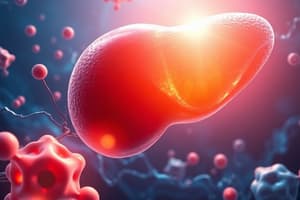 Cholesterol Metabolism Overview