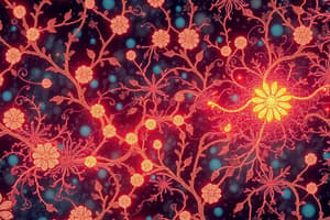 Action Potential Overview and Channels