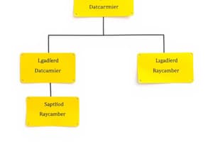 Entity Relationship Diagram Concepts