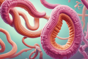 Diphyllobothrium latum: Life Cycle, Symptoms, and Diagnosis