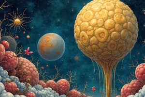Introduction to Lipids