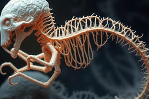 Morfogénesis Somática y Formación Vertebral