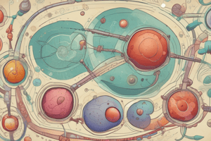 Glucolisis y Fermentación