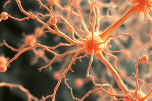 Cytoskeletal Filaments and Functions